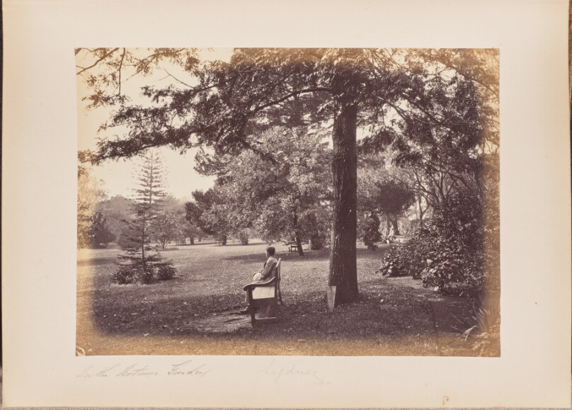In the Botanic Garden