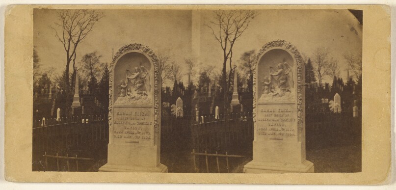 [Gravestone of Sarah Eliza. Green-Wood Cemetery, New York]