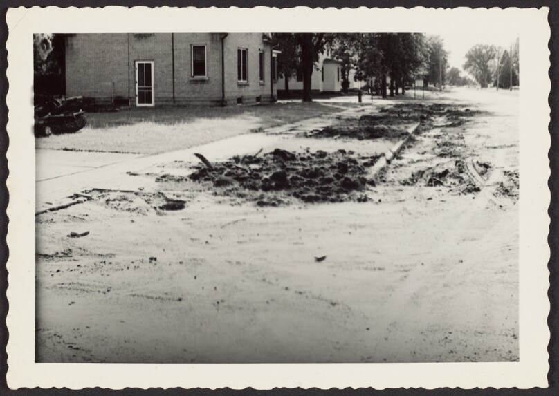 [Sidewalk with dirt holes]
