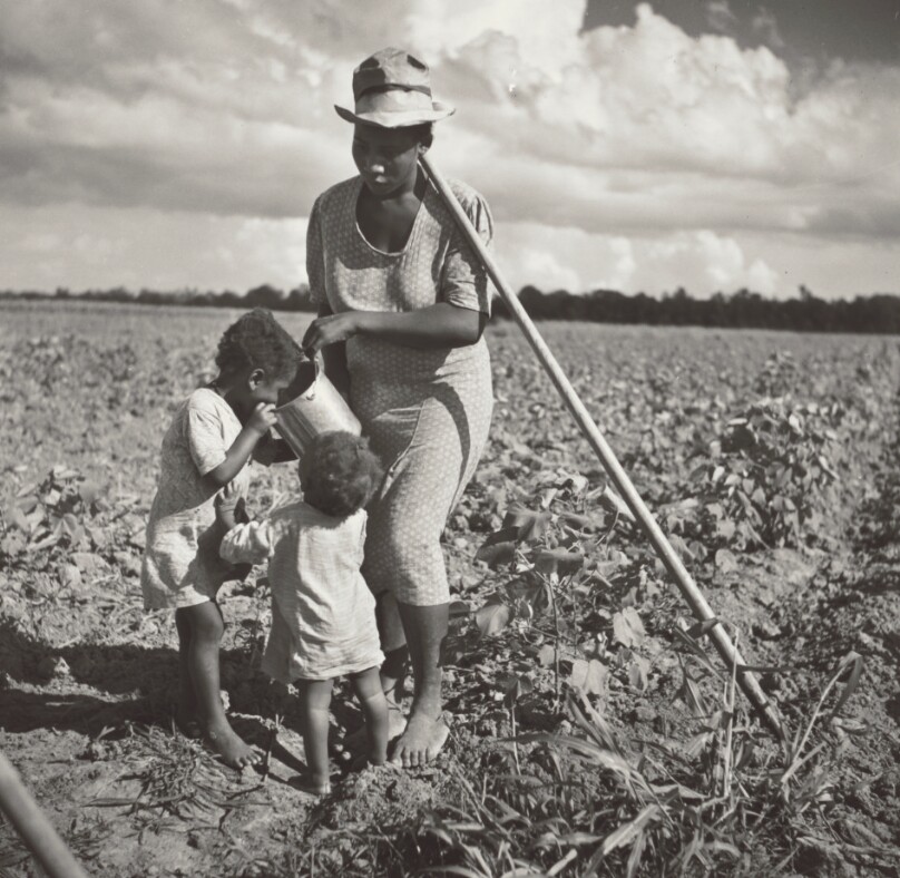 Black Woman Giving Her Children a Drink in the Field Where She's Hoeing Cotton on an FSA Cooperative Project (Allen Plantation)