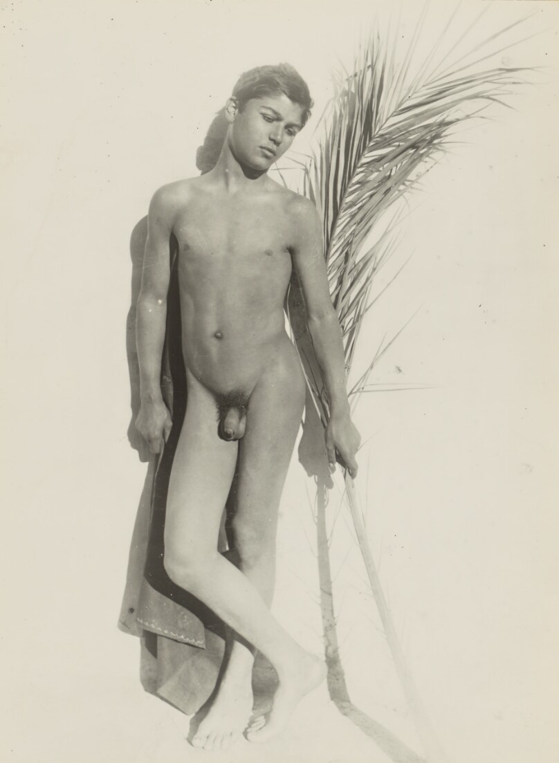 [Nude with palm frond]