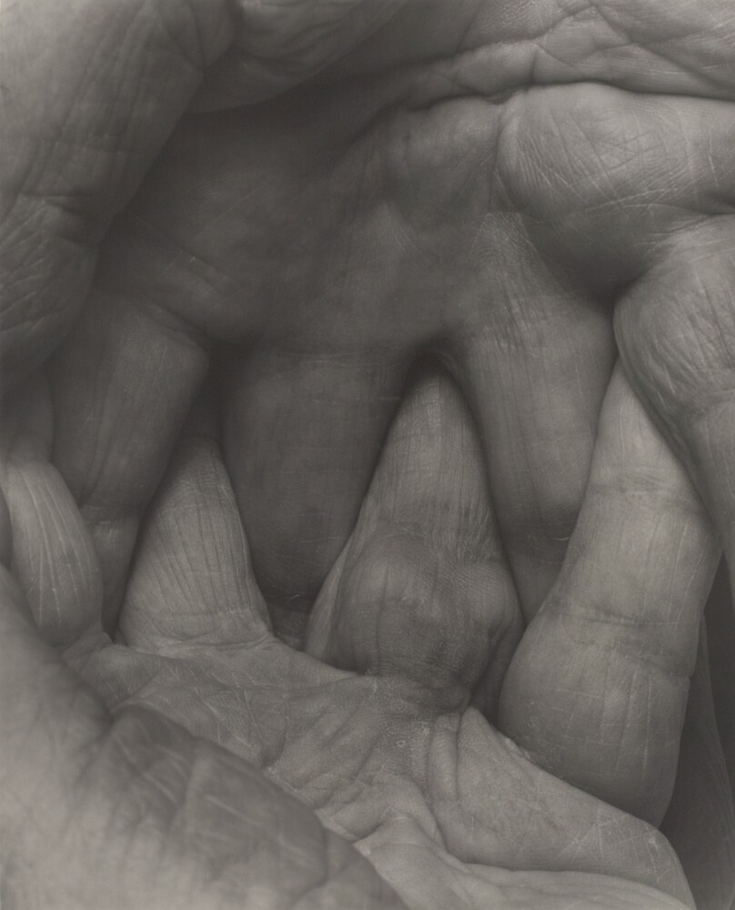 Self Portrait - Interlocking Fingers No. 5