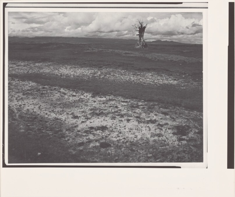 First Solitude
