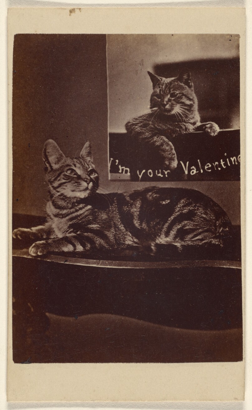 I'm Your Valentine.