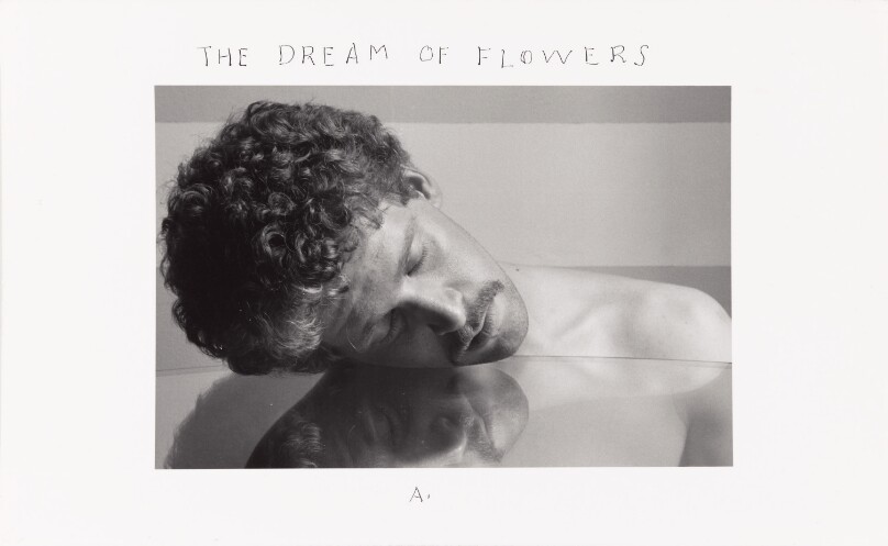 The Dream of Flowers