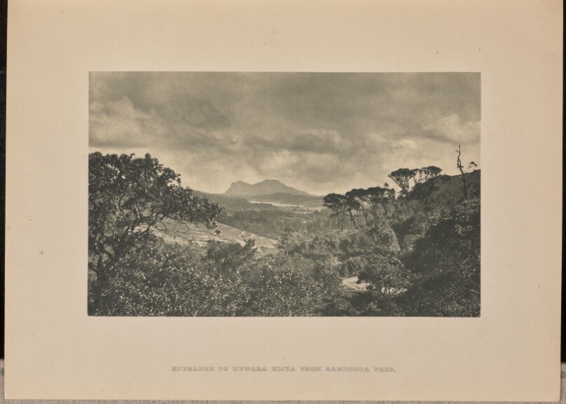 [Entrance to Nuwara Eliya]