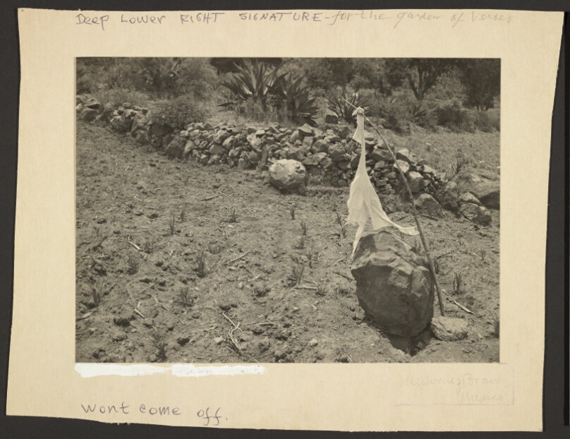 [Little Flags of the Land]/[Banderitas del Campo]