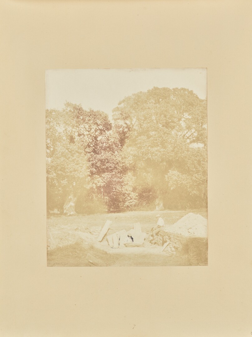 Foliage and Figures, Thorpe Park