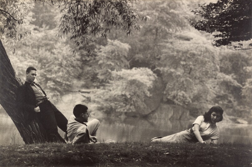 Probably Central Park, New York City