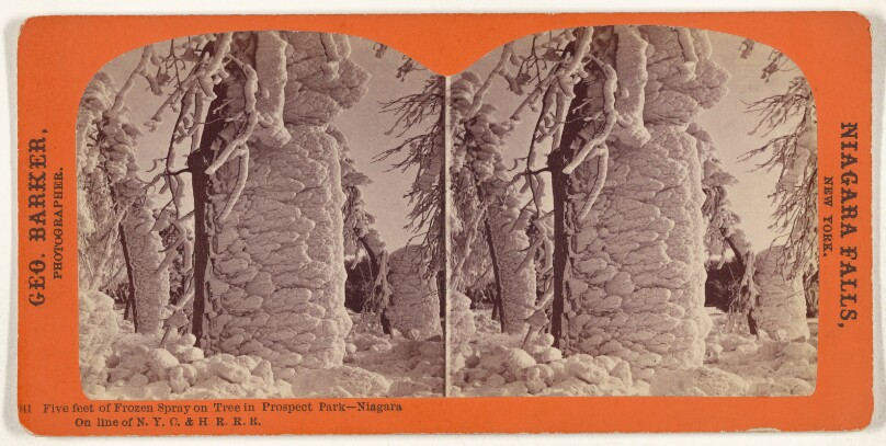 Five feet of Frozen Spray on Tree in Prospect Park - Niagara[.] On line of N.Y.C. & H.R.R.R.
