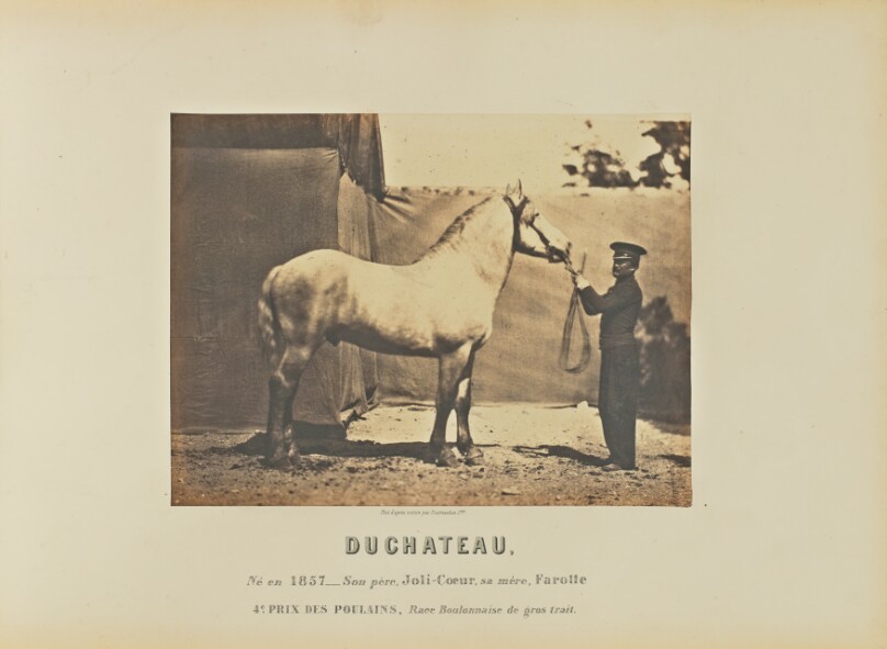 Duchateau