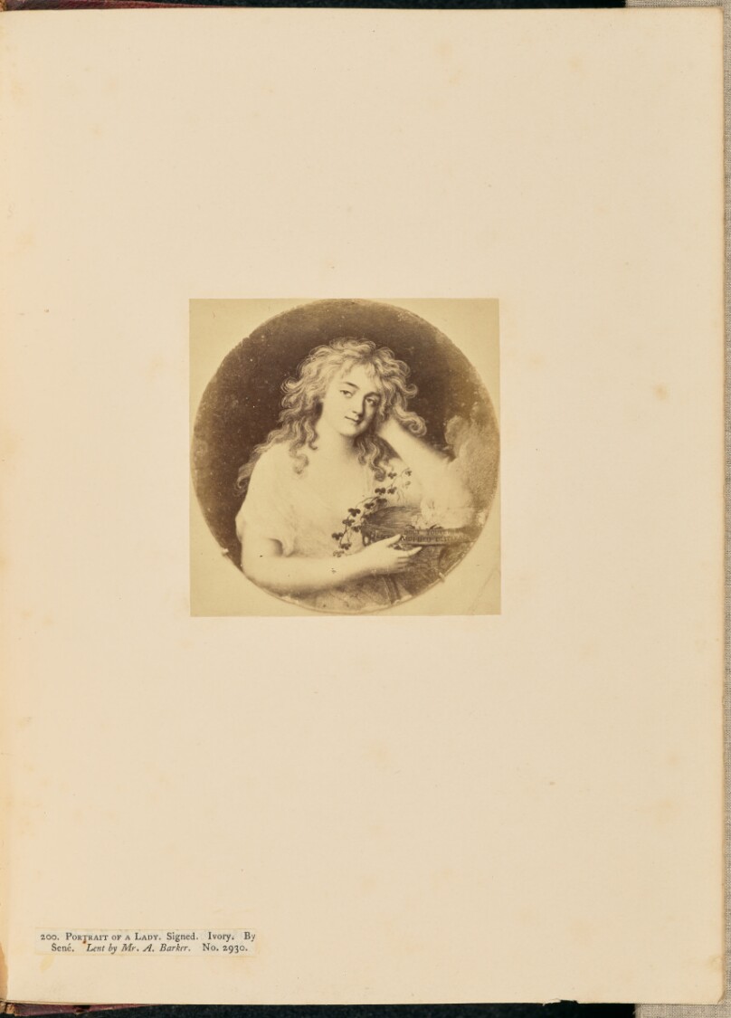 Portrait of a Lady