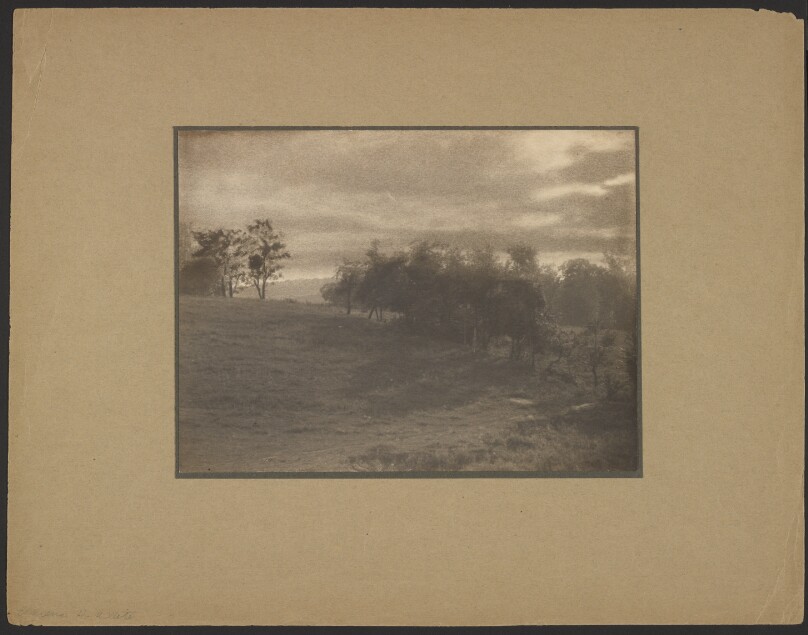 [Landscape at Dusk]