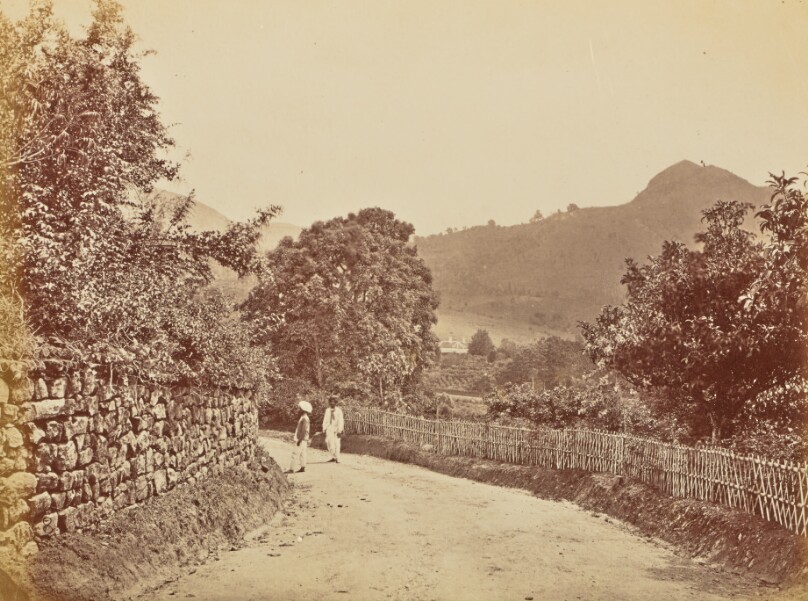 [Dirt Road]