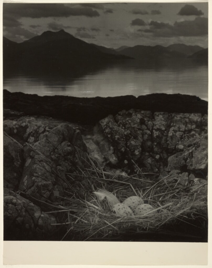 The Isle of Skye/[Gulls Nest, late on mid-summer night, Isle of Skye]