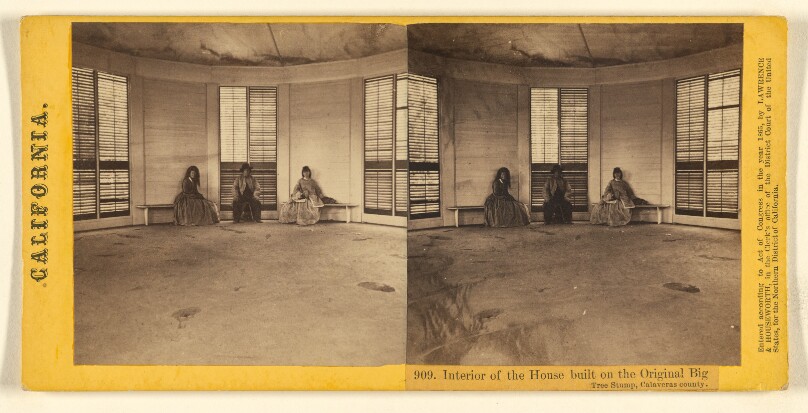 Interior of the House built on the Original Big Tree Stump, Calaveras county.