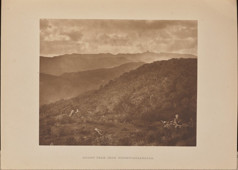 [Adams Peak]