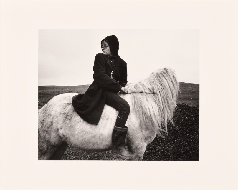 "Boo" on a Horse, Seacoal Camp, Lynemouth, Northumberland
