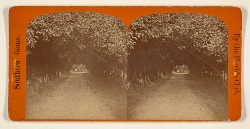 Orange Archway on Mr. Ball's Place, Known as Lovers' Lane.
