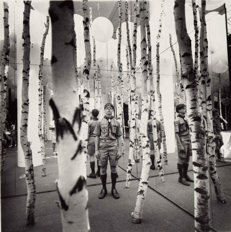 Boy in Mirrored Birch Tree Forest, Montreal, Canada