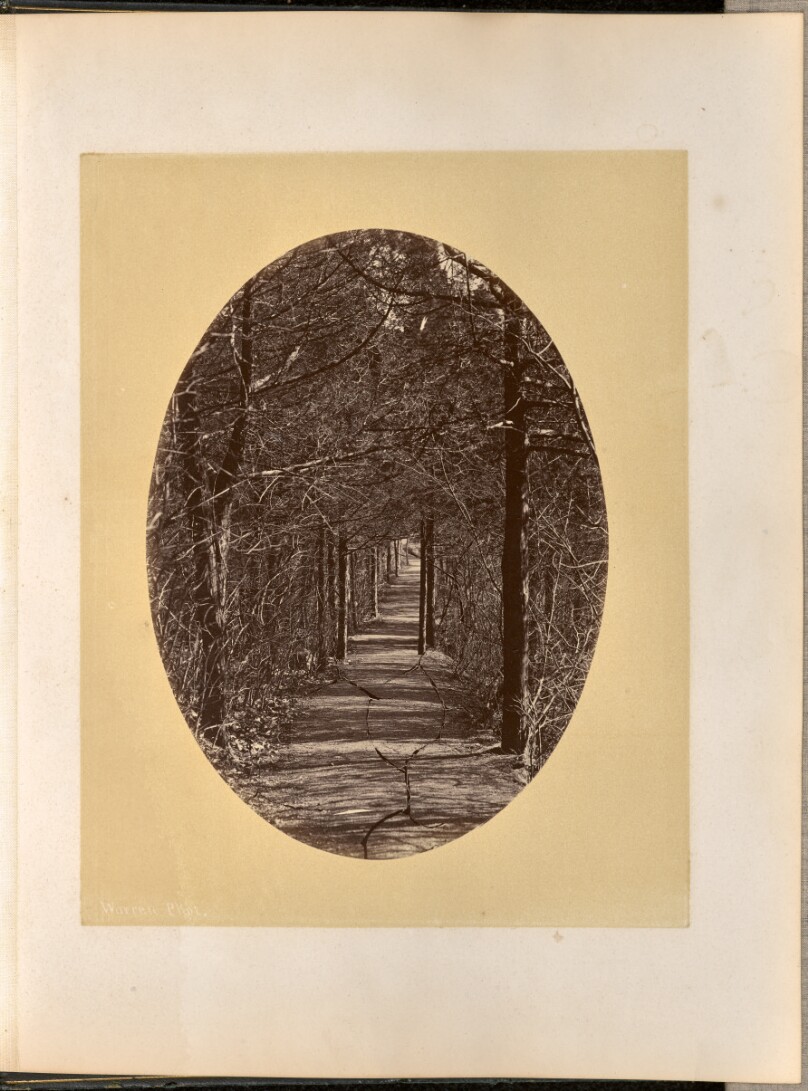 [Flirtation Walk, West Point]