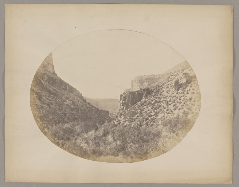 [Valley with cacti]