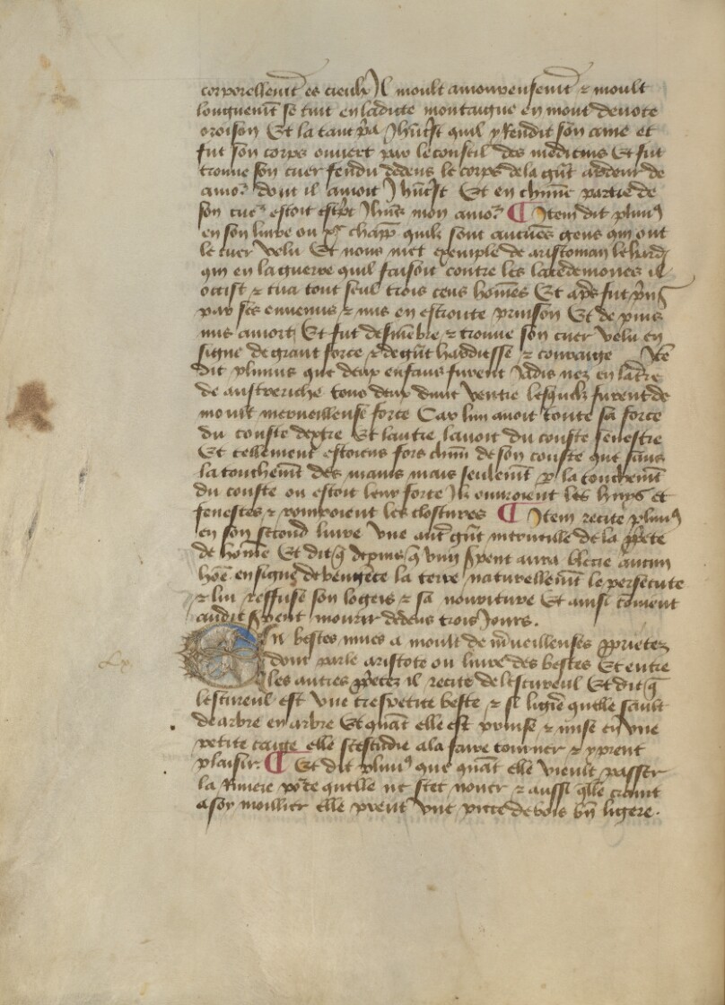 Historiated Initial E: Unicorn and Elephant