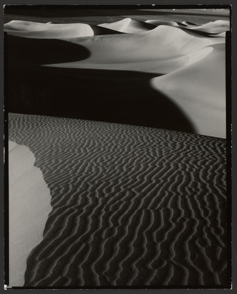Dune