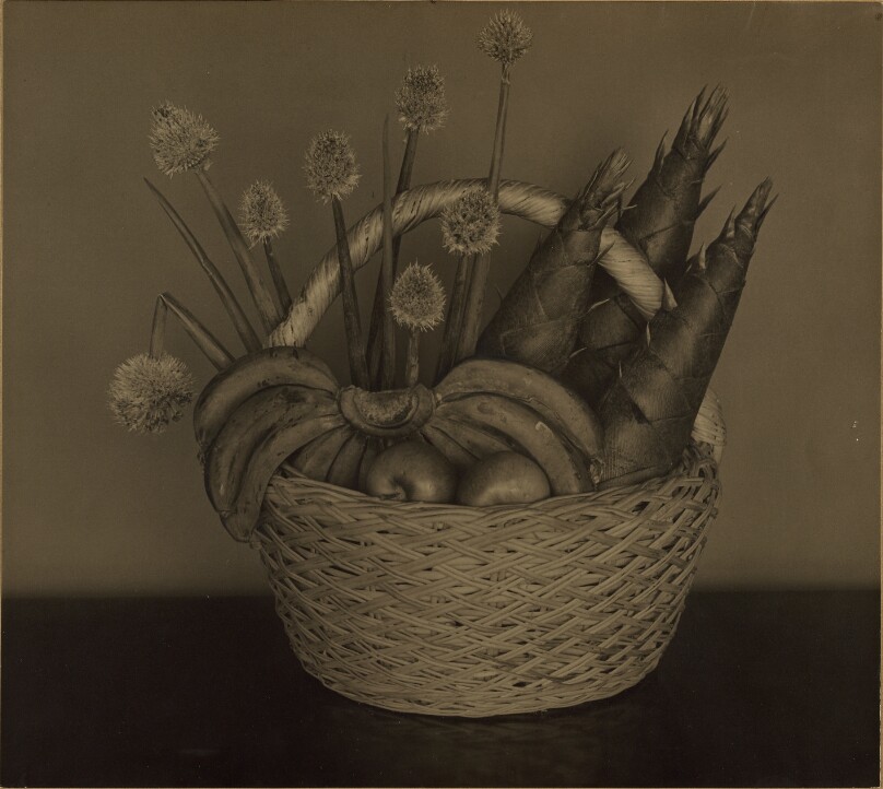 Still Life