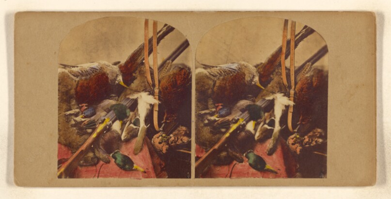 [Still life with various dead fowl and rifle]