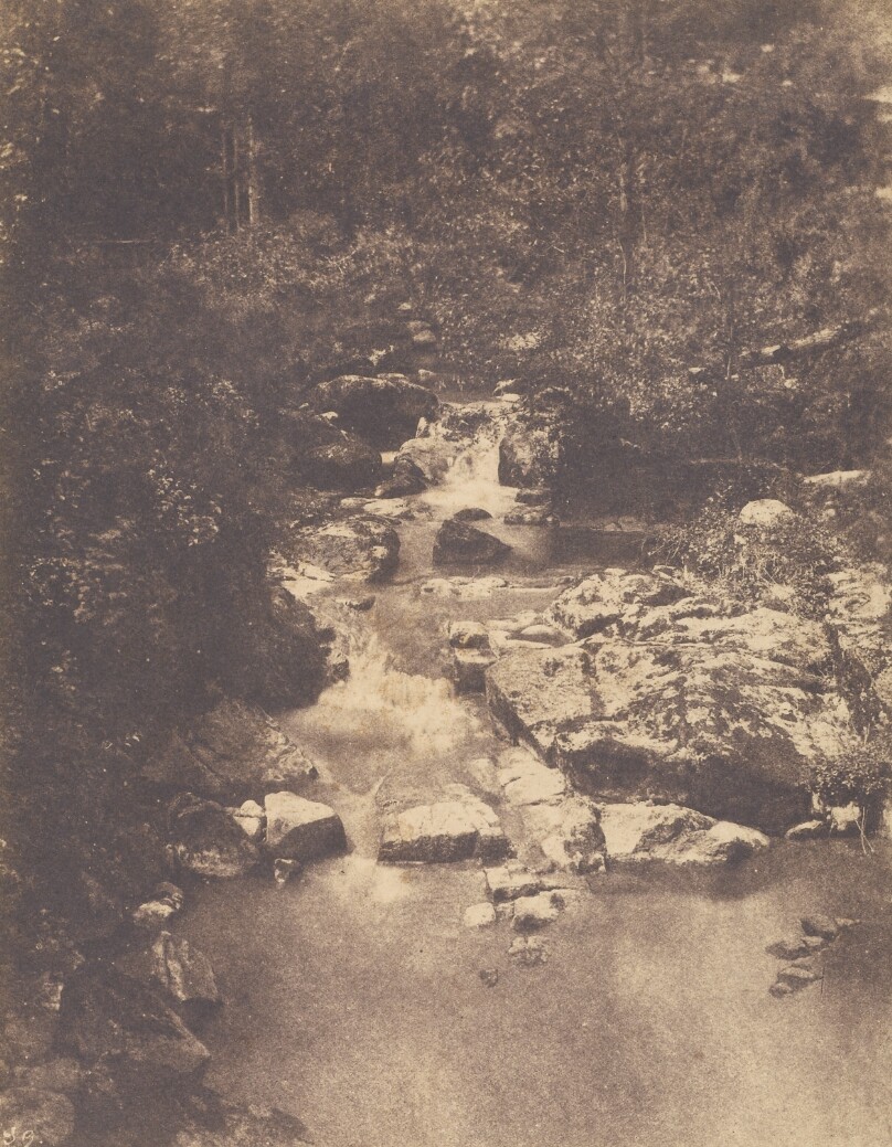 [Forest Scene with Stream]