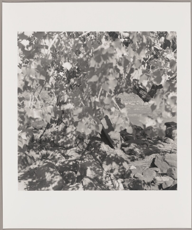 Landscape (94 ED-19)