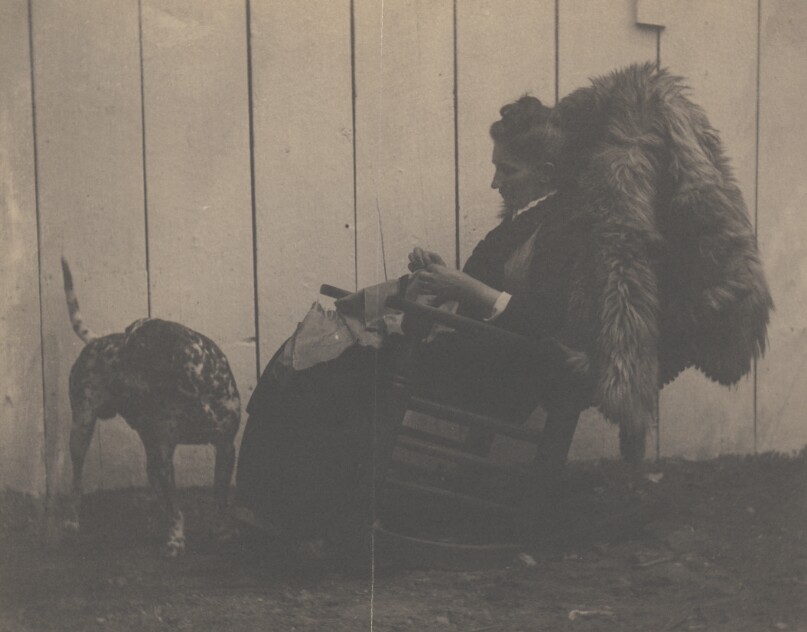 [Mary Oakes Davis]