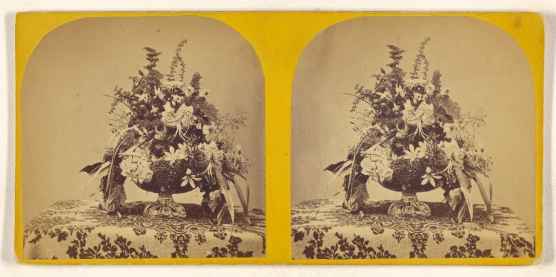 [Flower arrangement]