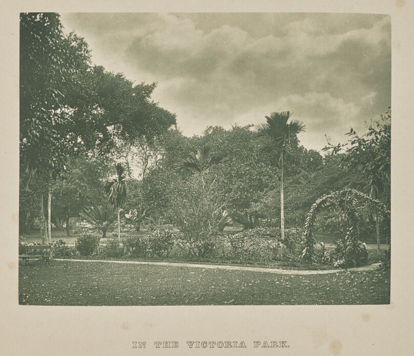 In the Victoria Park