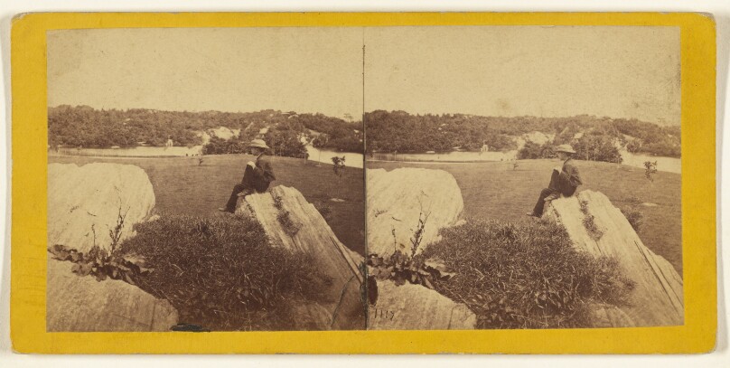 A Visit to the "Central Park" in the Summer of 1863. Looking N.E. from the Carriage Circle.