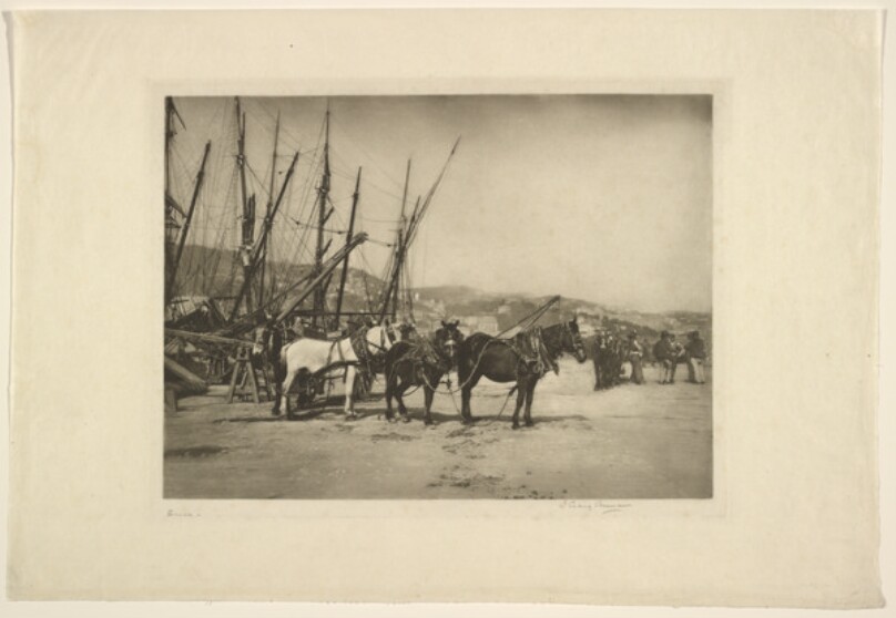 Genoa