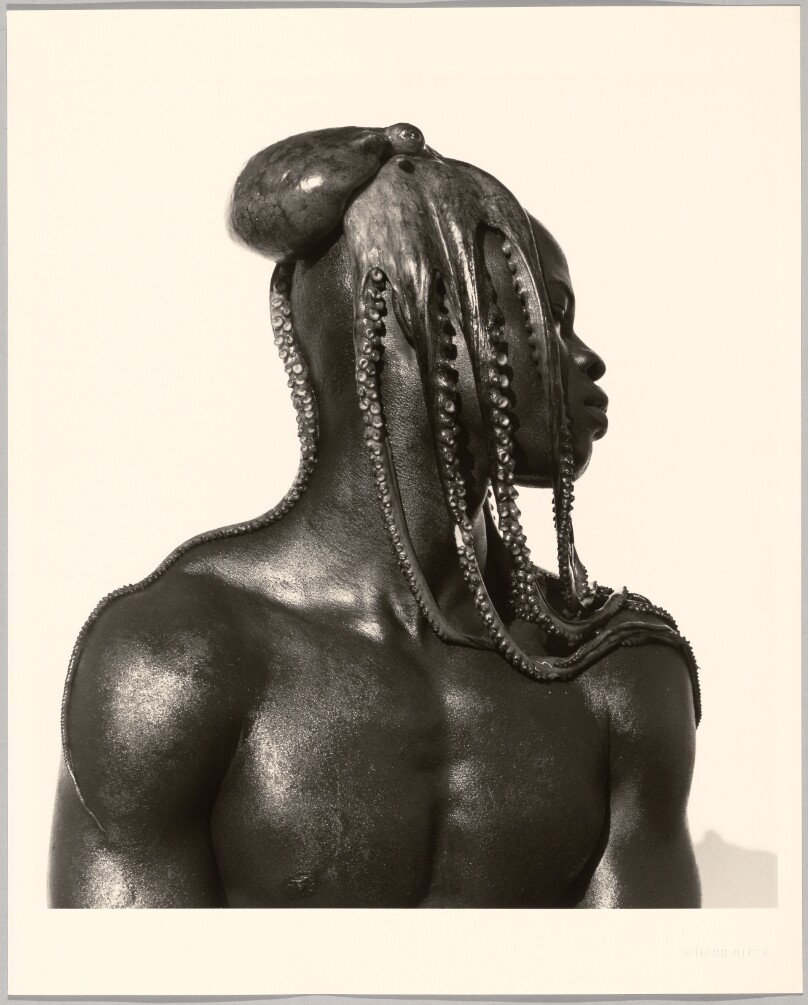 Djimon with Octopus, Hollywood