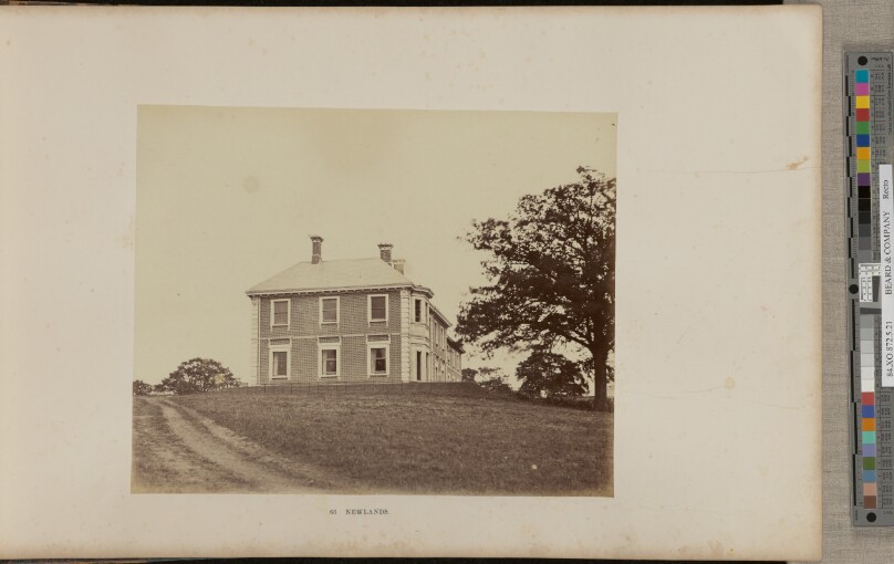 Newlands