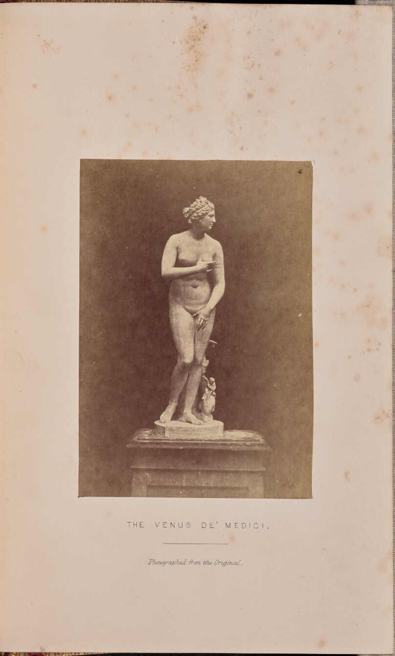 The Venus de' Medici