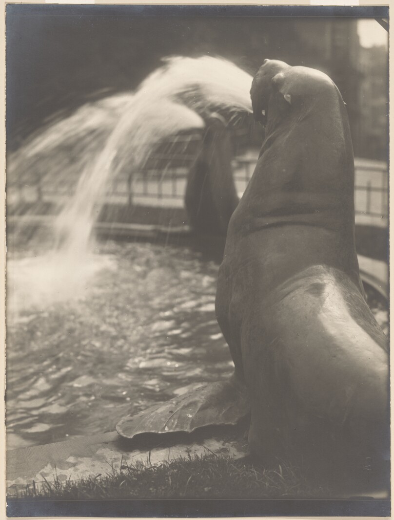 Sea Lions Fountain, Mont des Arts, Brussels