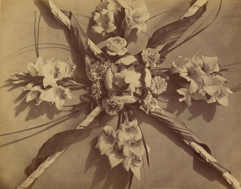 [Still Life Arrangement]