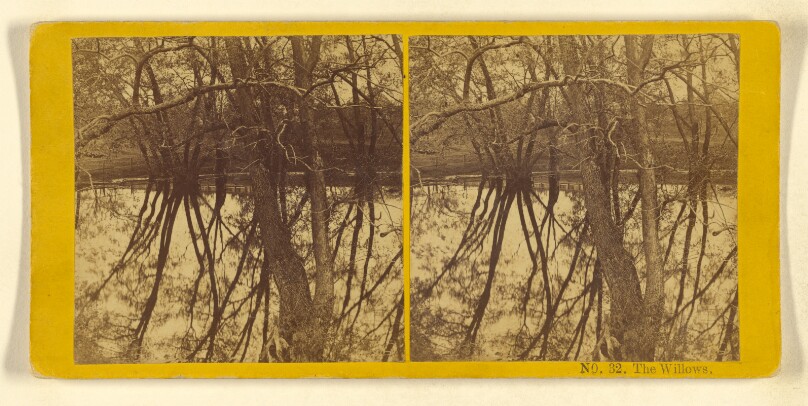 The Willows.