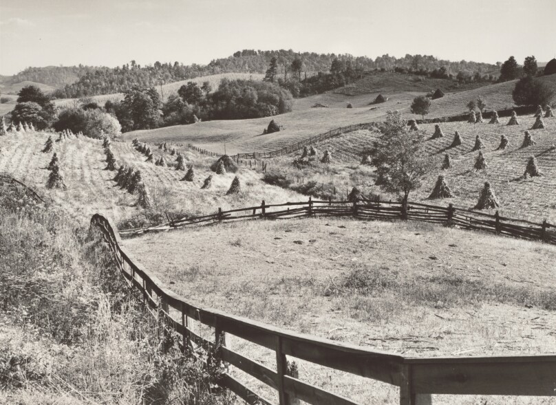 Board and Split Rail Fences Around Fields of Shocked Corn, Near Marion, Virginia