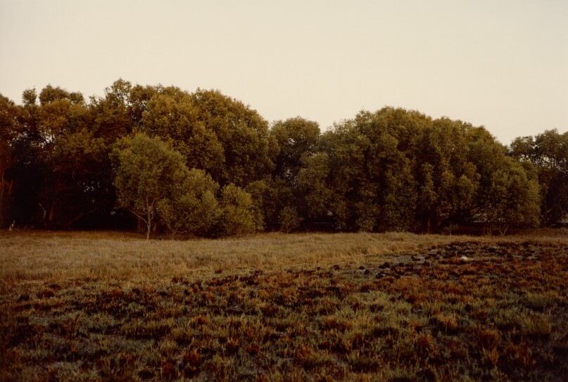 [Landscape]