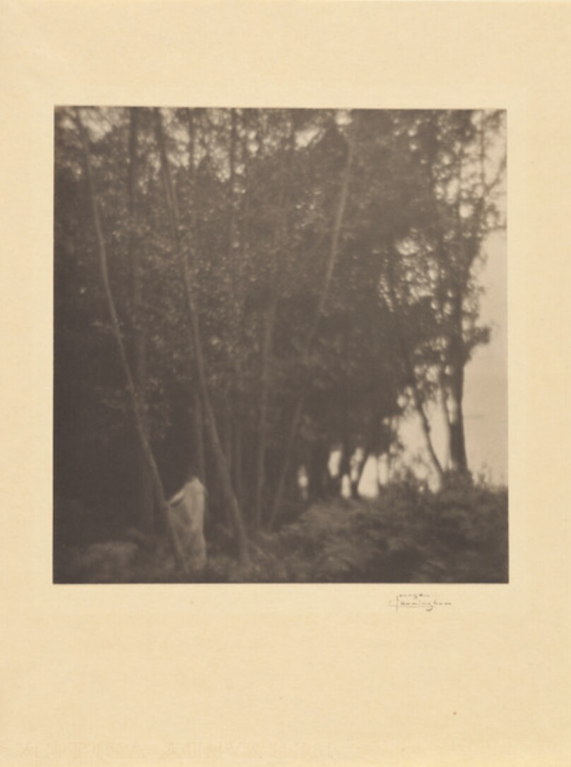 In the Wood / Voice of the Wood