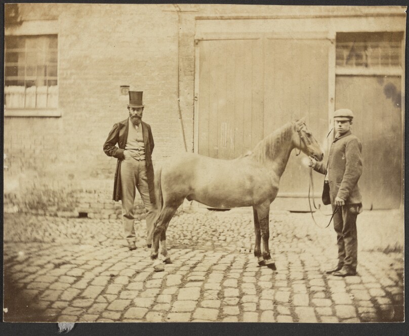 [Two Men and a Horse]