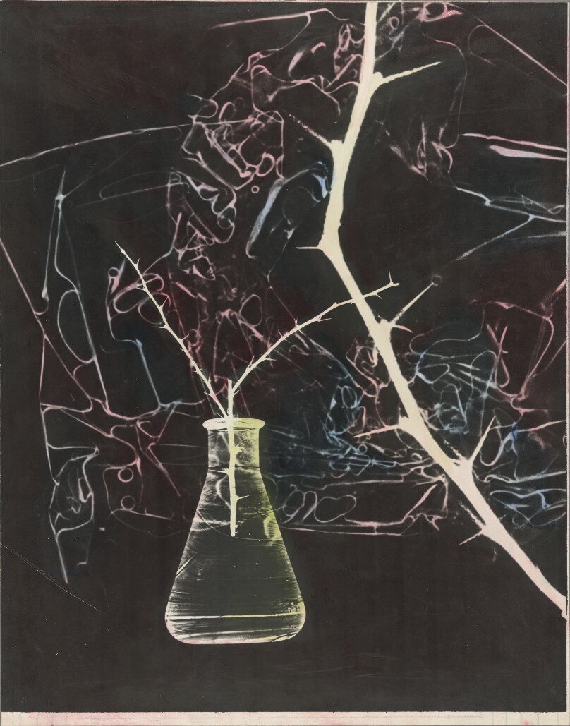 Untitled, New York