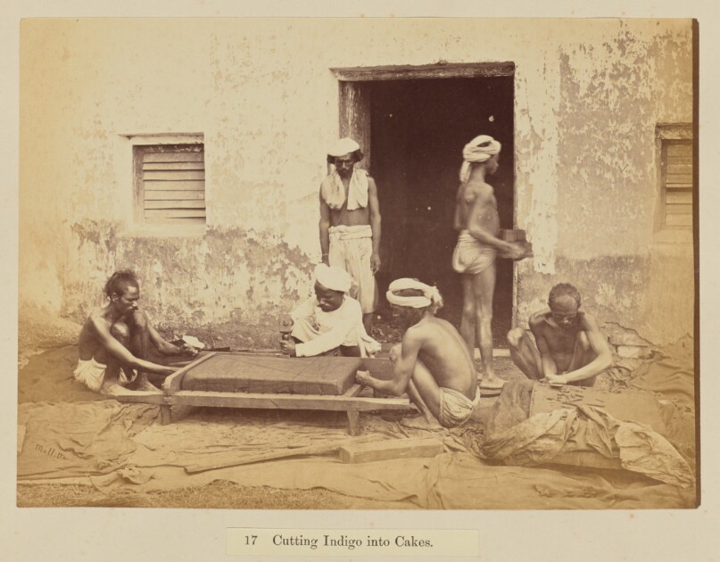 Cutting Indigo into Cakes