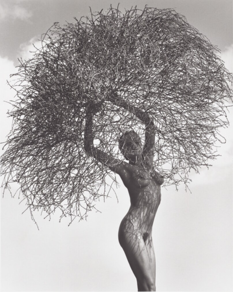 Neith with Tumbleweed